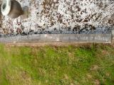 image of grave number 808813